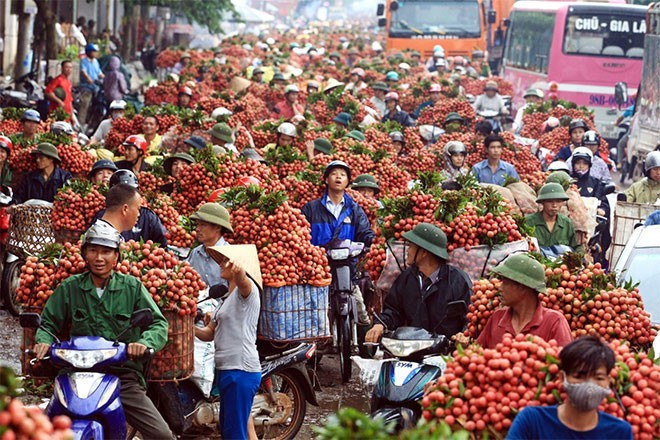 Vietnam finds it necessary to improve farm produce’ branding, value - ảnh 2